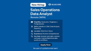 Bluecore Hiring: Remote Sales Operations Analyst 2025